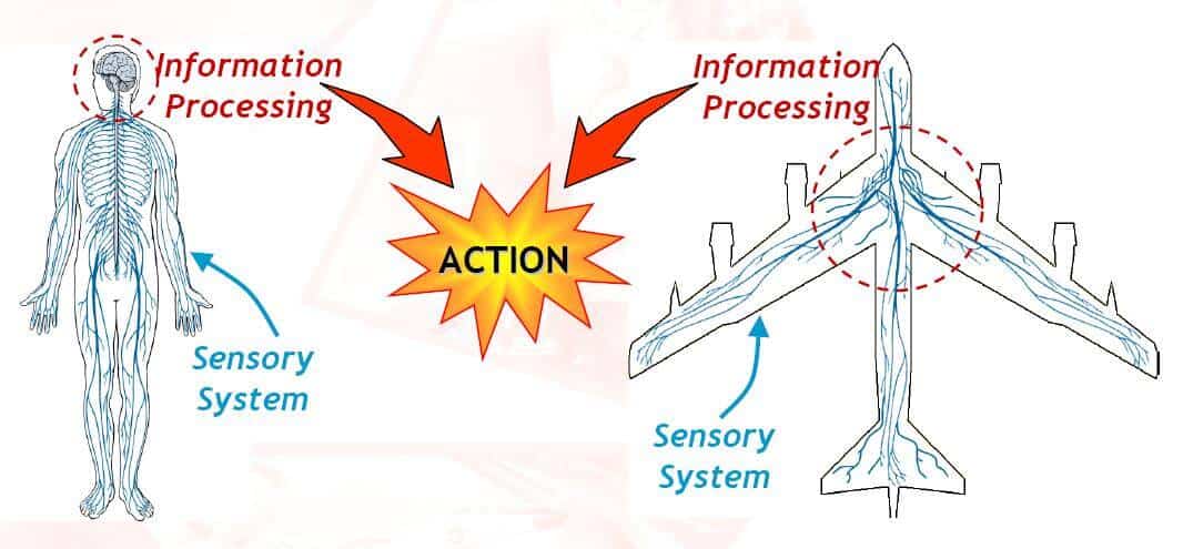 Acellentt���~����	Structural Health Monitoring (SHM) ���c���d�ʱ� Nondestructive Inspection (NDI) �D�}�a�˴�